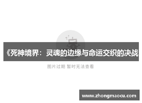 《死神境界：灵魂的边缘与命运交织的决战》